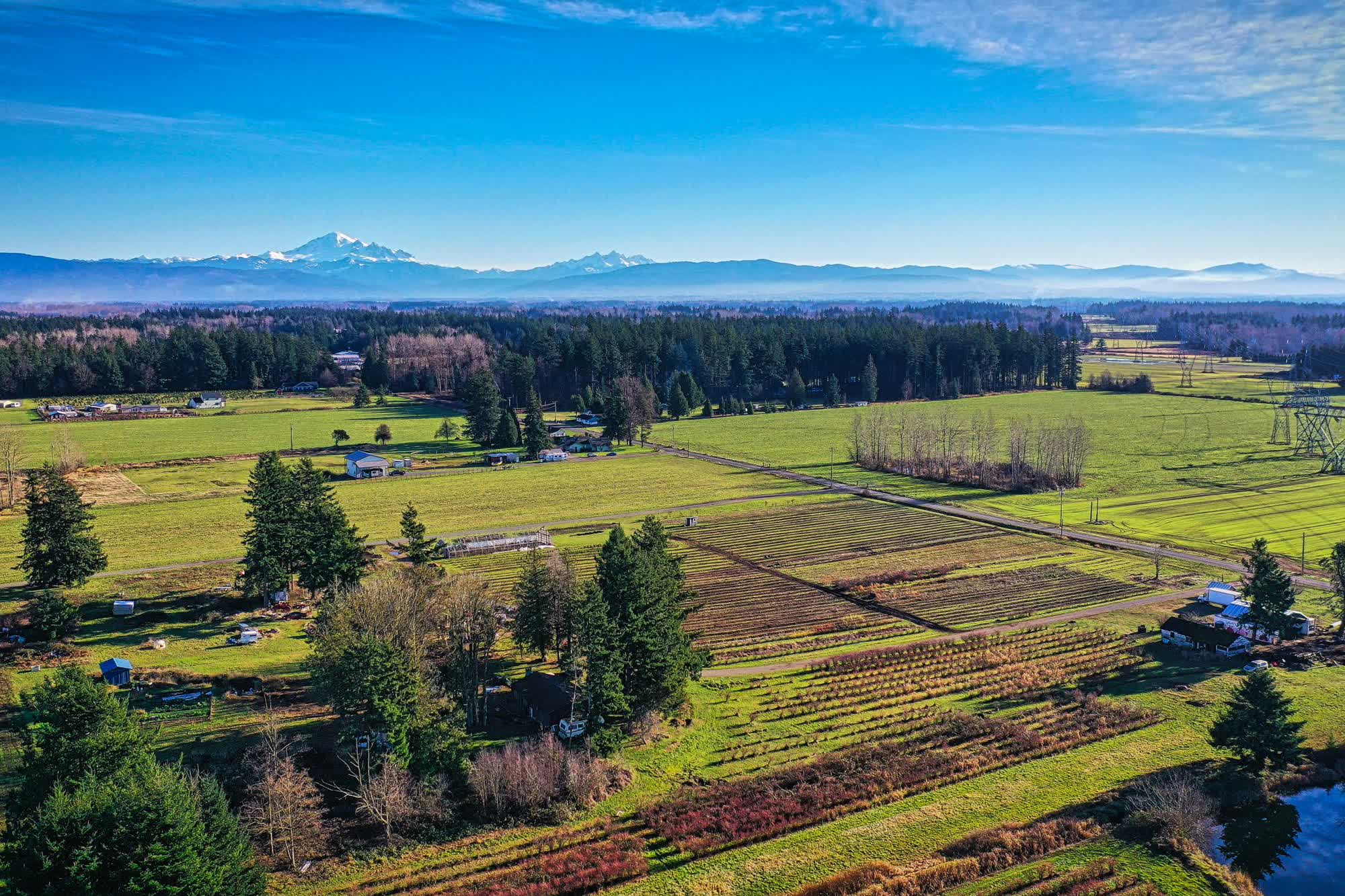 A valley of small farm fields from above, with snow-capped mountains on the horizon
